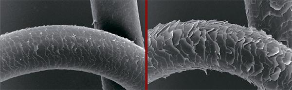 волосы под микроскопом до и после окрашивания