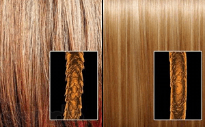 рисунок структуры волос до и после выпрямления