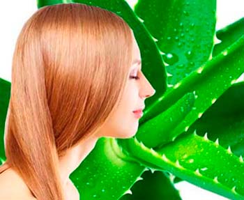 девушка с красивыми волосами на фоне растения алое вера